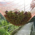 Plastic Agriculture Netting for Olive